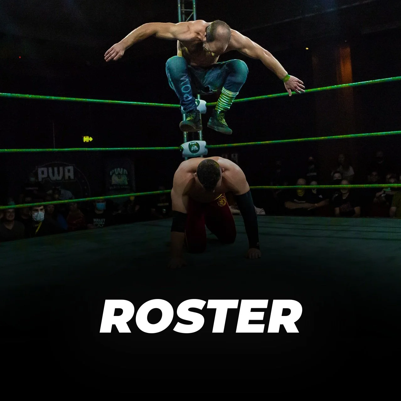 PWA+-+ROSTER+Image+01.jpg