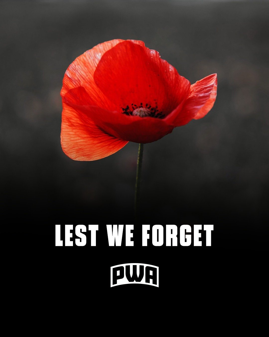 They shall grow not old, as we that are left grow old:
Age shall not weary them, nor the years condemn.
At the going down of the sun and in the morning
We will remember them.

#Lestweforget #anzacday