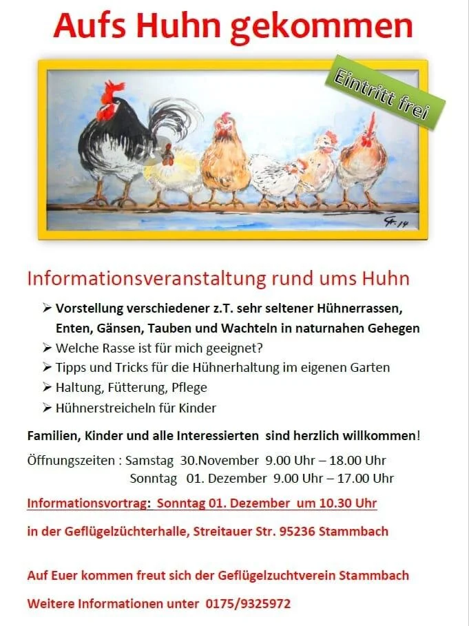 Aufs Huhn gekommen