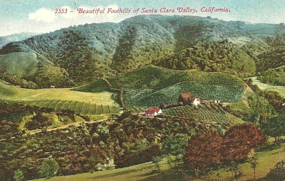 The lost orchards of Silicon Valley.