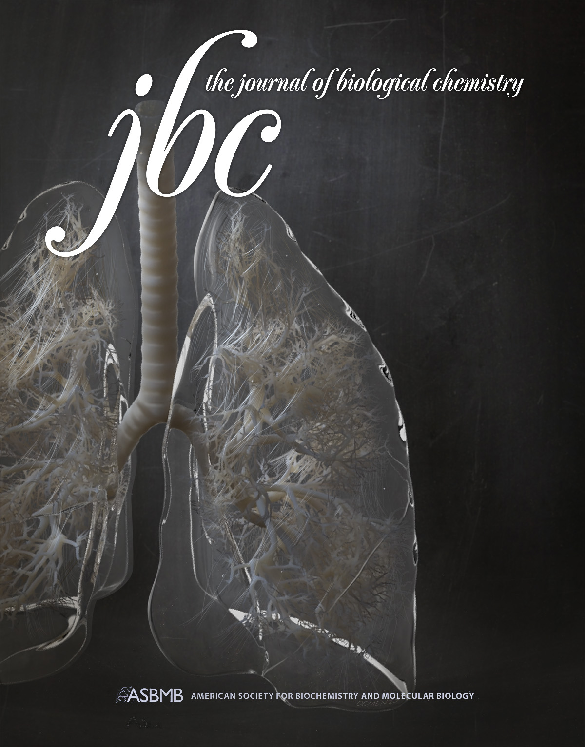 Pulonary_Fibrosis_JBC_cover_example.jpg