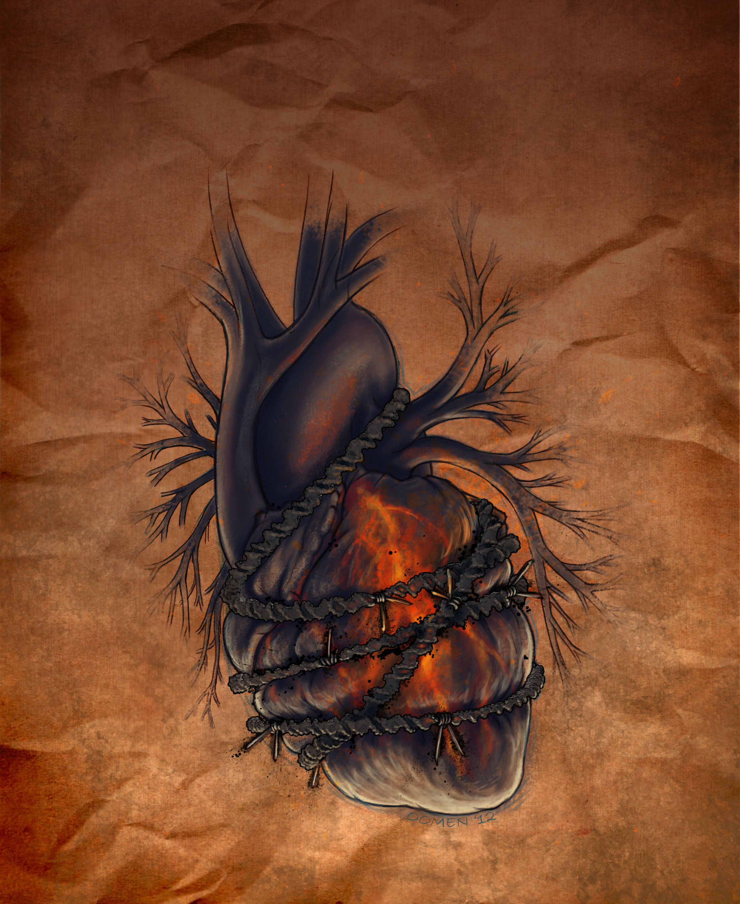 Doxorubicin & Cardiotoxicity