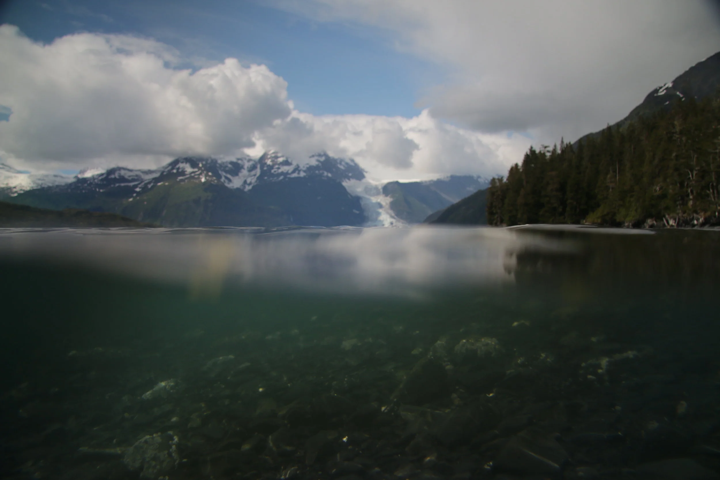 Through the water of Prince William Sound towards Herriman Fjord.&nbsp;