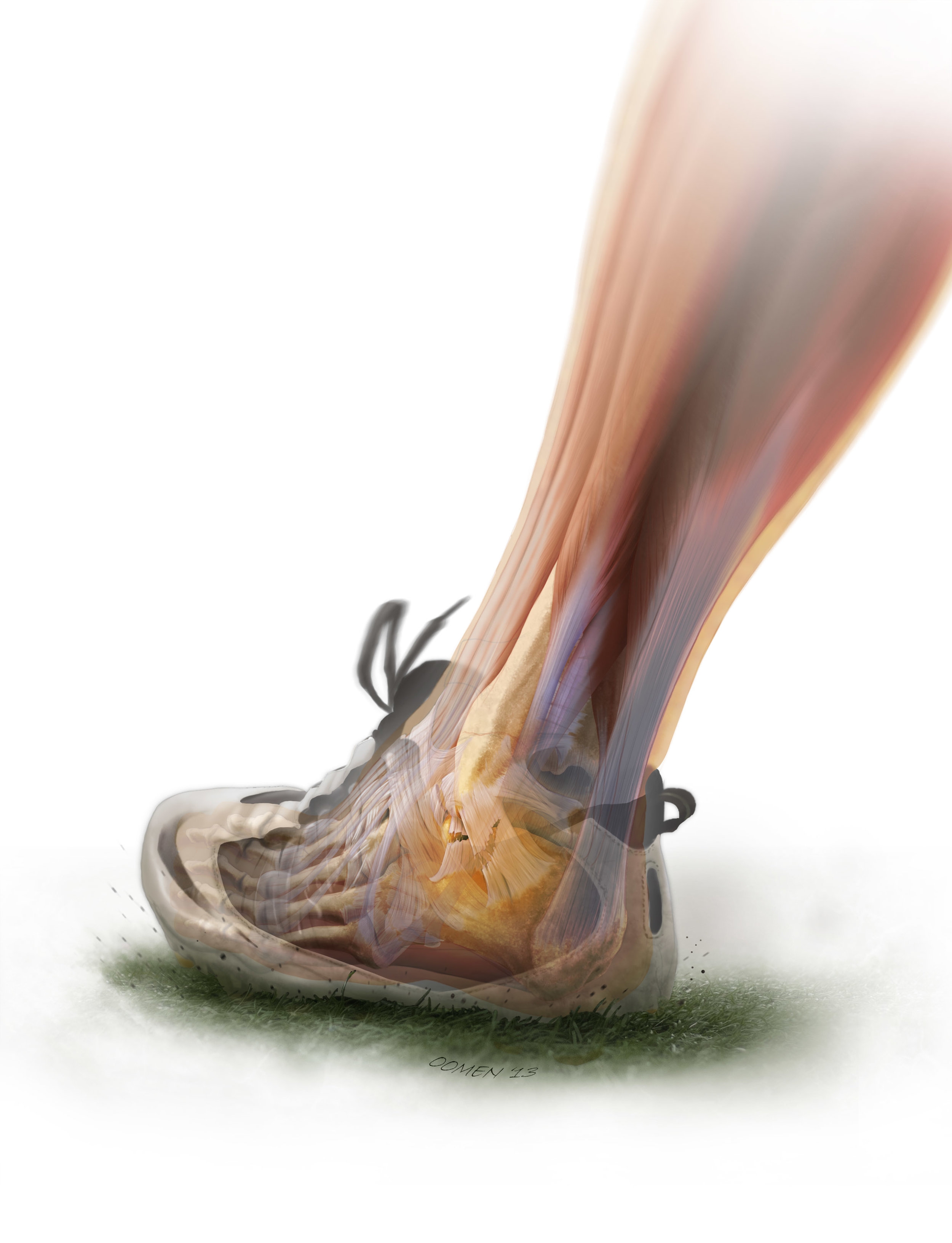 ankle3.jpg