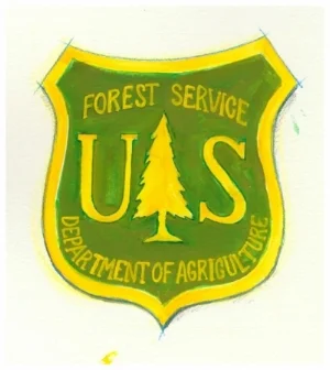 USFS painted logo.jpg