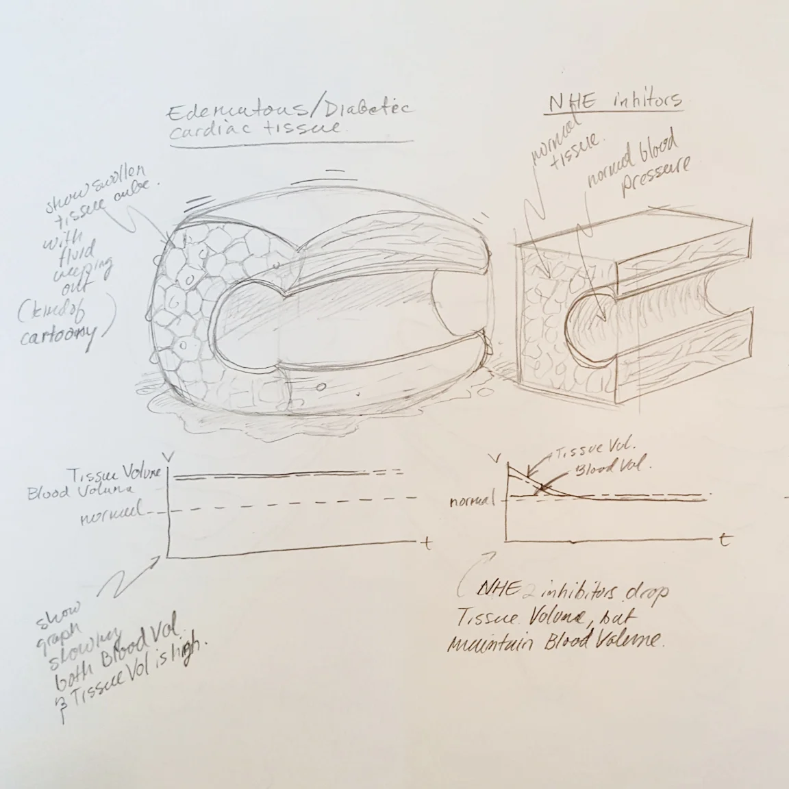 The Process (part 1)