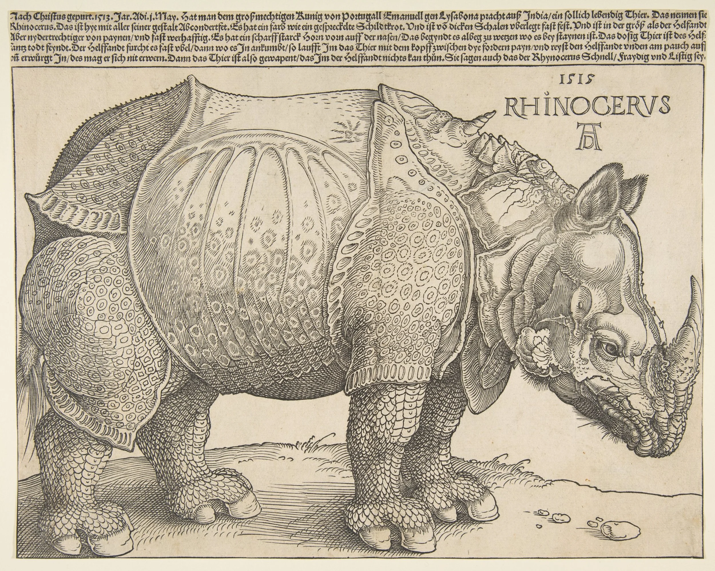 Albrecht Drer's 1515 woodcut of an Indian Rhinoceros. This image served as the archetype for how rhinos were thought to look. It was copied extensively and, with each duplication, the new artist added or omitted key details. Scientific illustration …