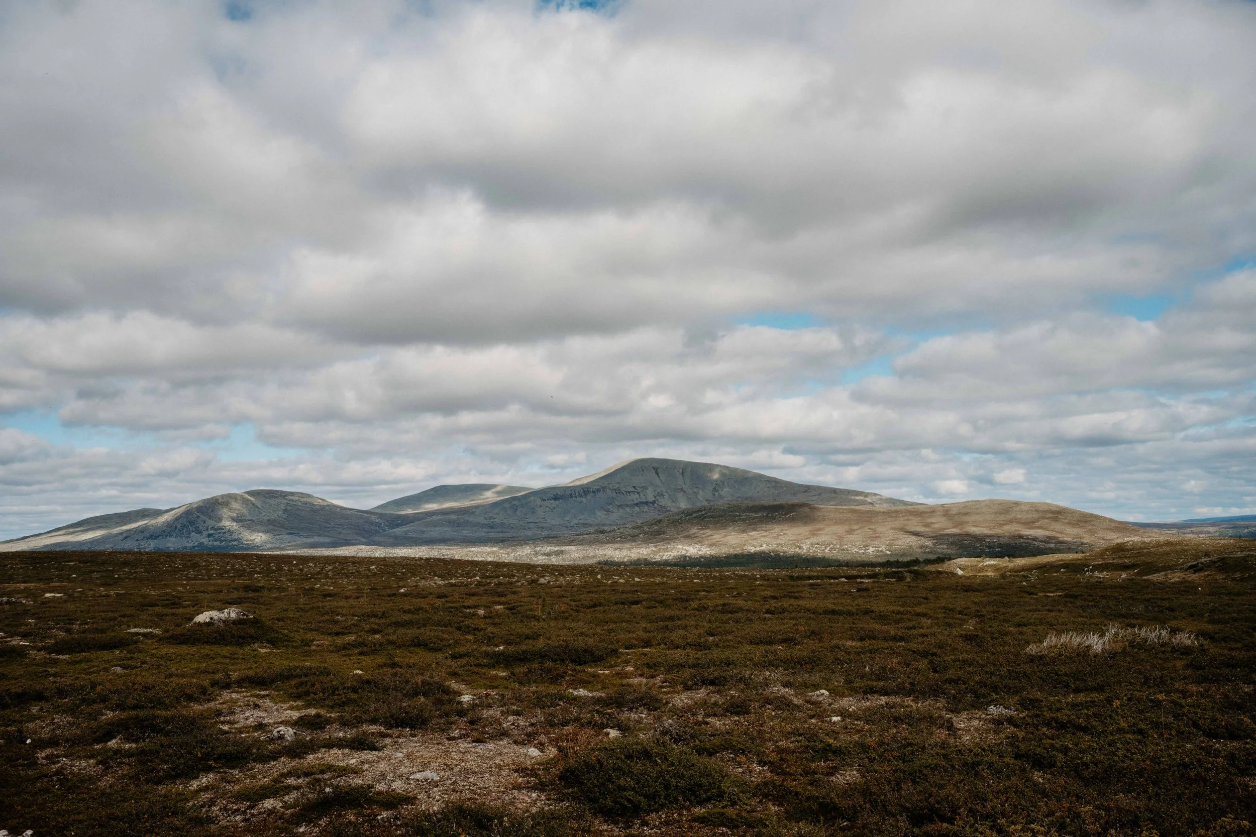 DSC_0466.jpg