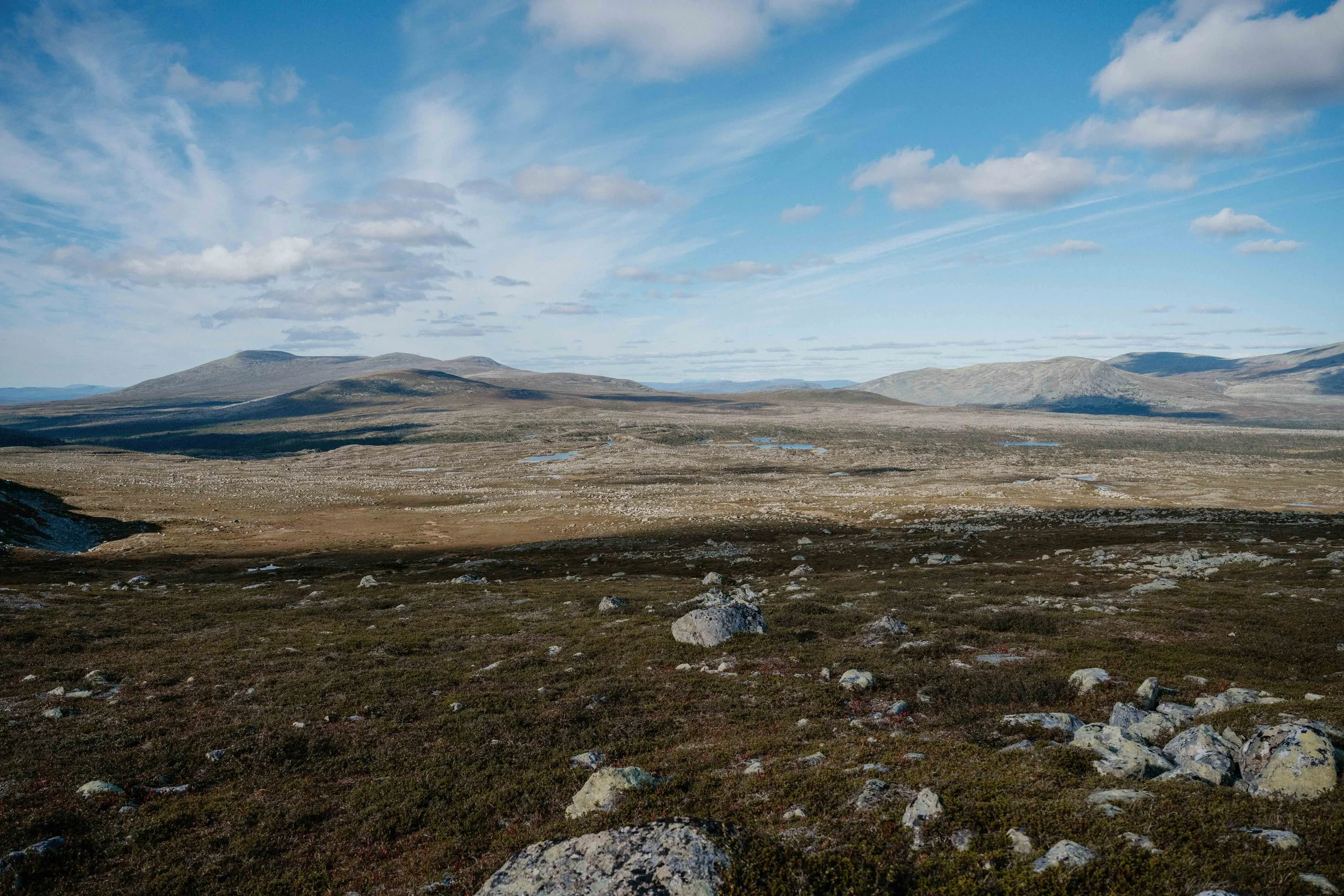 DSC_0651.jpg