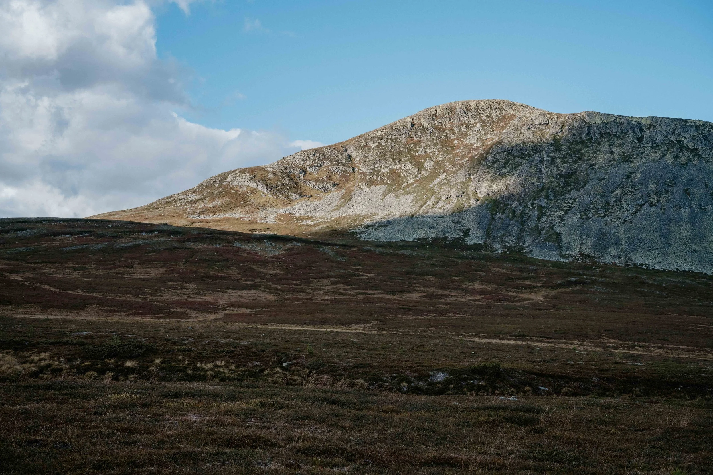 DSC_0803.jpg