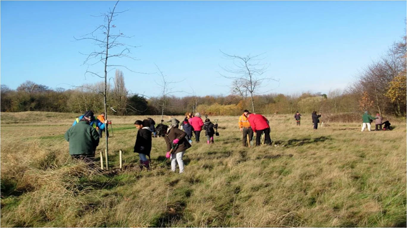 11.23 Tree planting.jpg