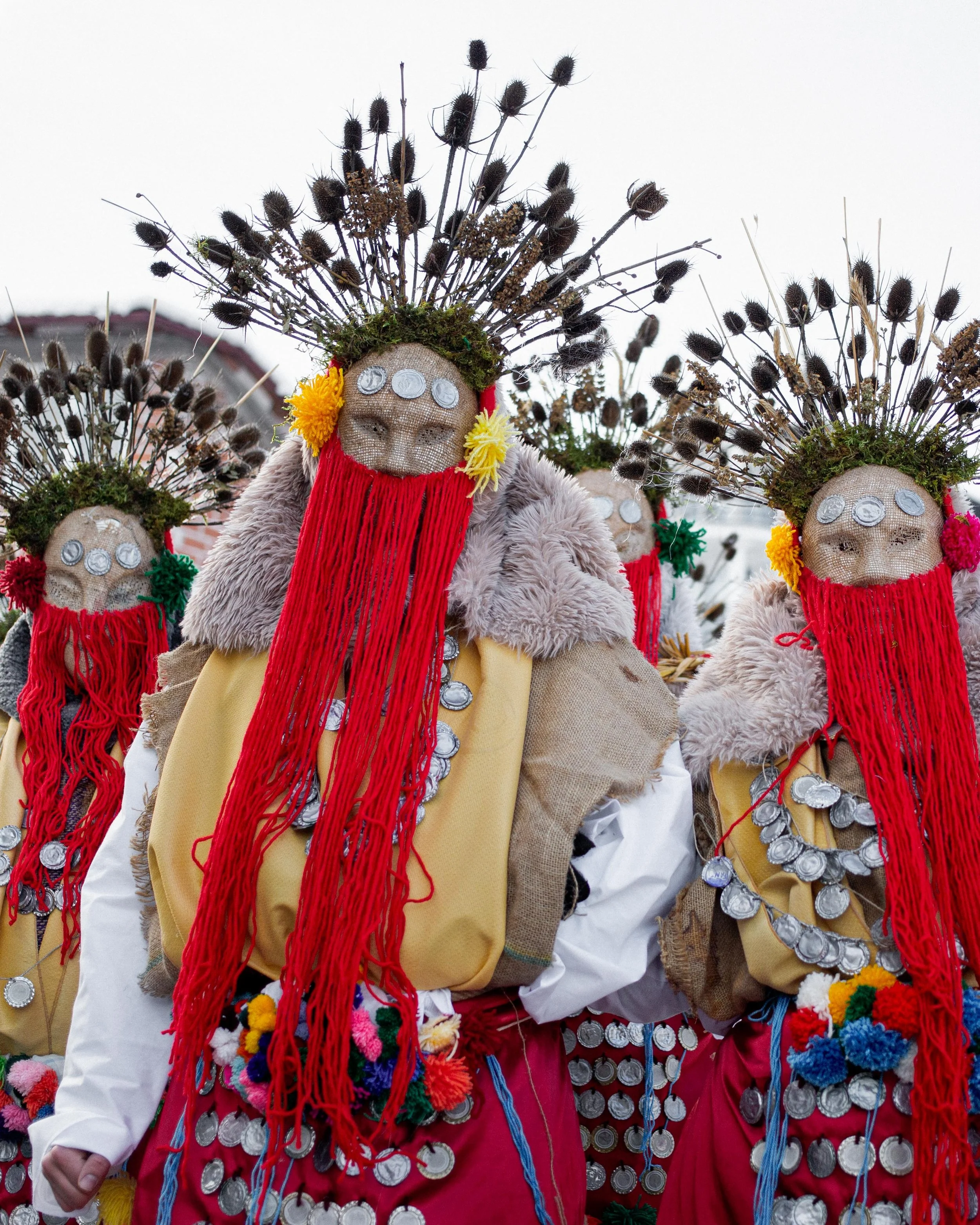 vevcanski karneval 2026 I (3).jpg