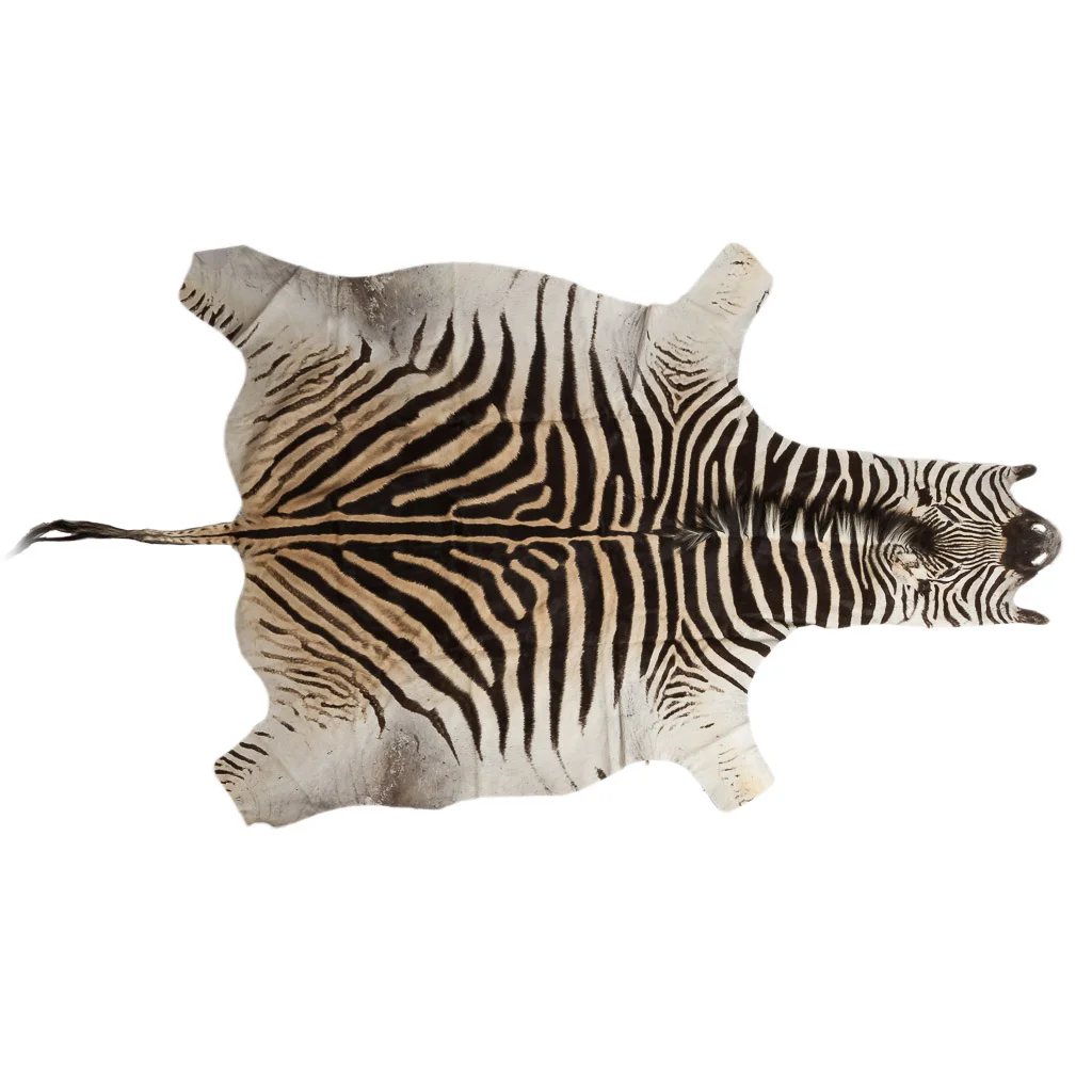 2016-01-11-taxidermy8_001-.jpg
