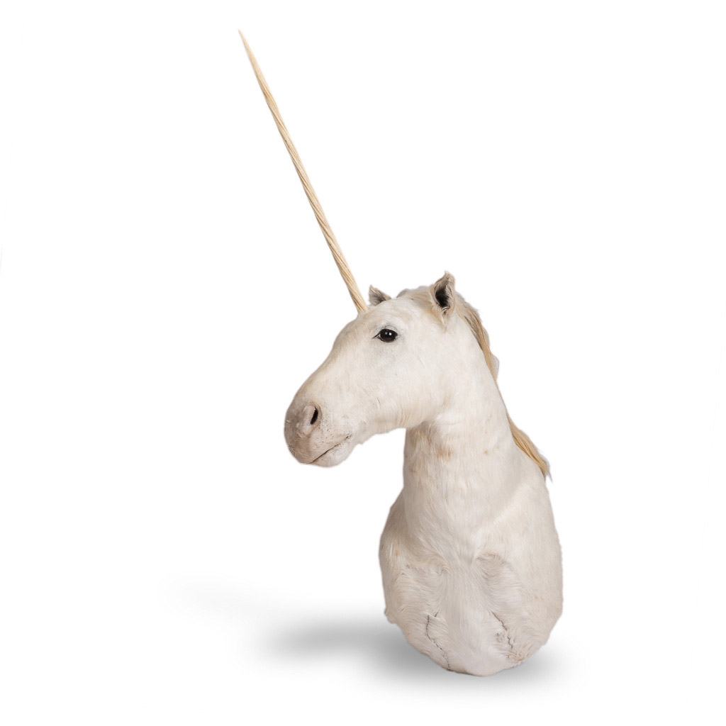  RARE LATE 20th CENTURY UNICORN TAXIDERMY 