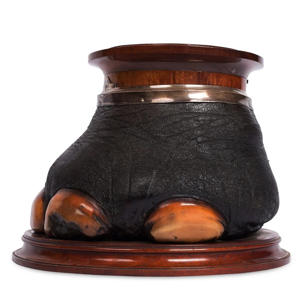 elephant foot decanter box 6.jpg
