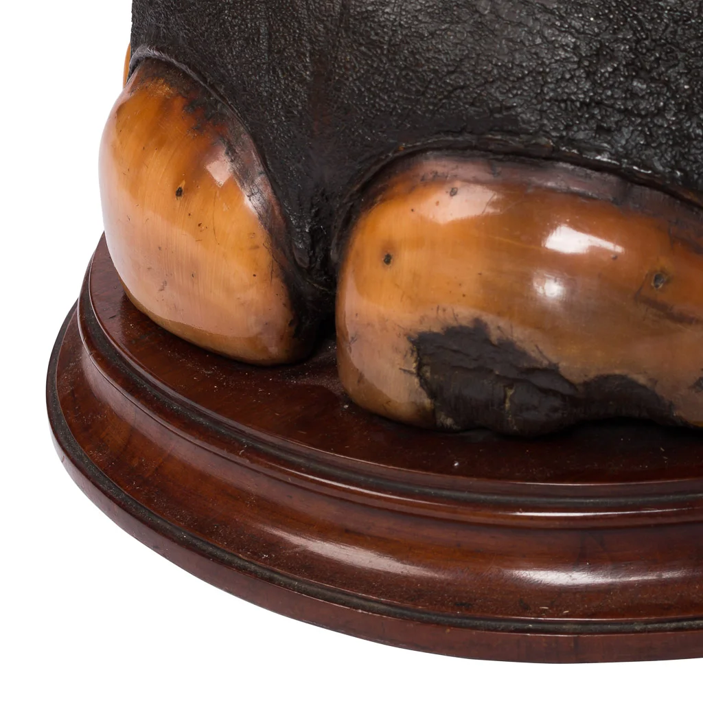elephant foot decanter box 9.jpg
