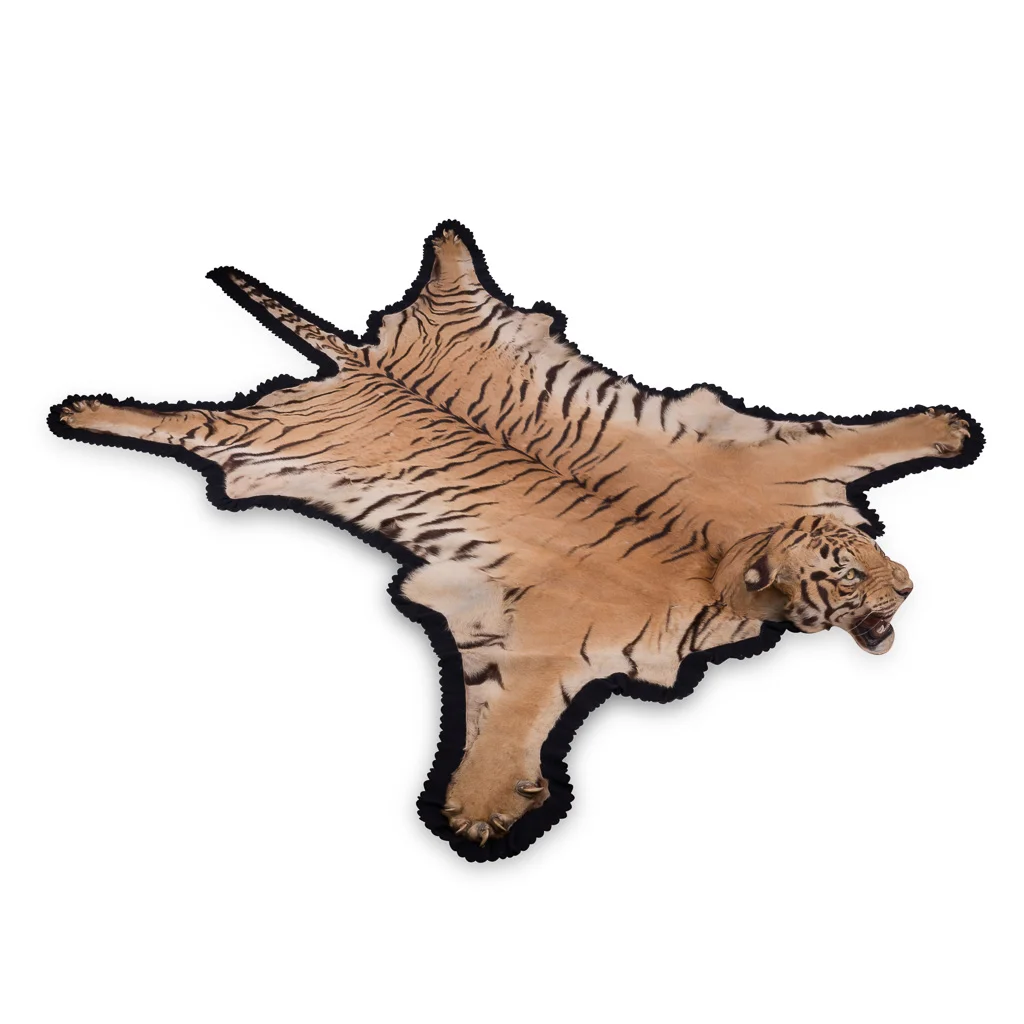 Mint condition tiger skin rug by Van Ingen, Mysore, circa 1936