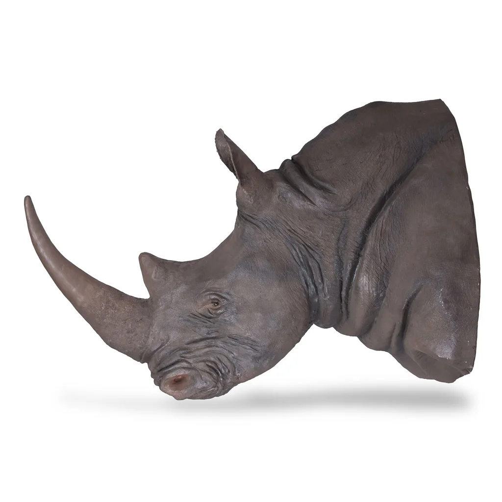 fibreglass rhino taxidermy horn 3.jpg