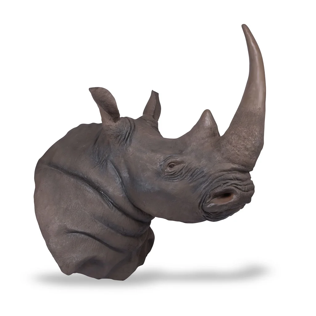 fibreglass rhino taxidermy horn 1.jpg