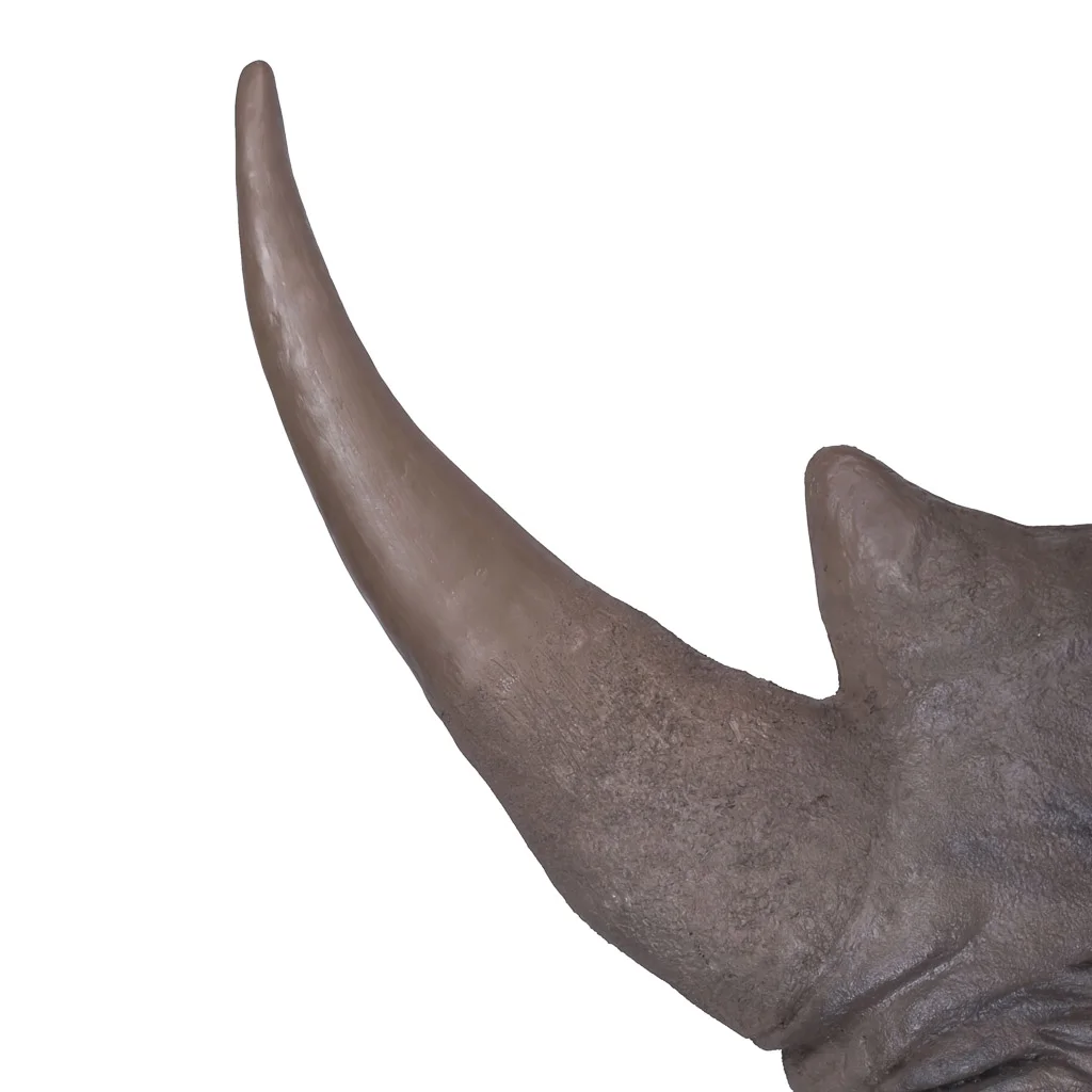 fibreglass rhino taxidermy horn 4.jpg