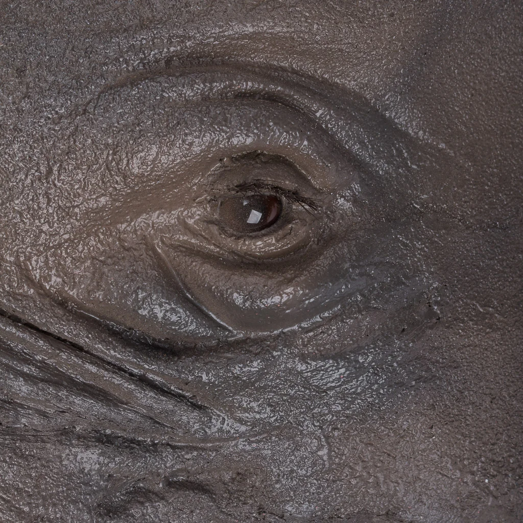 fibreglass rhino taxidermy horn 7.jpg