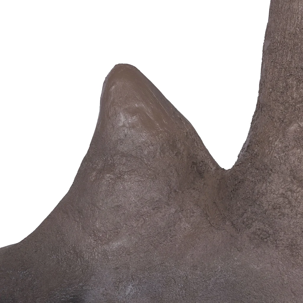 fibreglass rhino taxidermy horn 11.jpg
