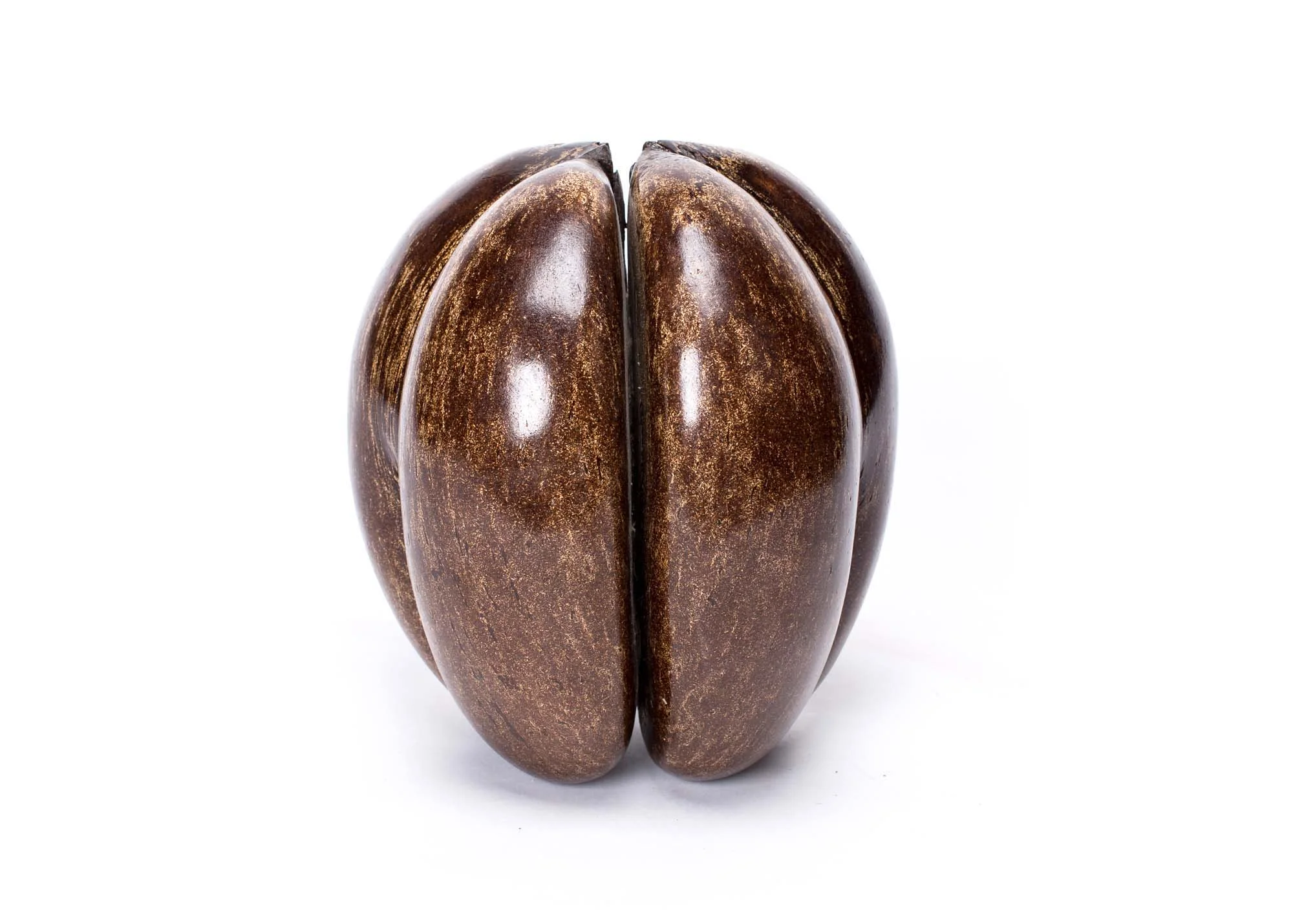 Extremely rare double coco de mer, polished, Seychelles, circa 1900