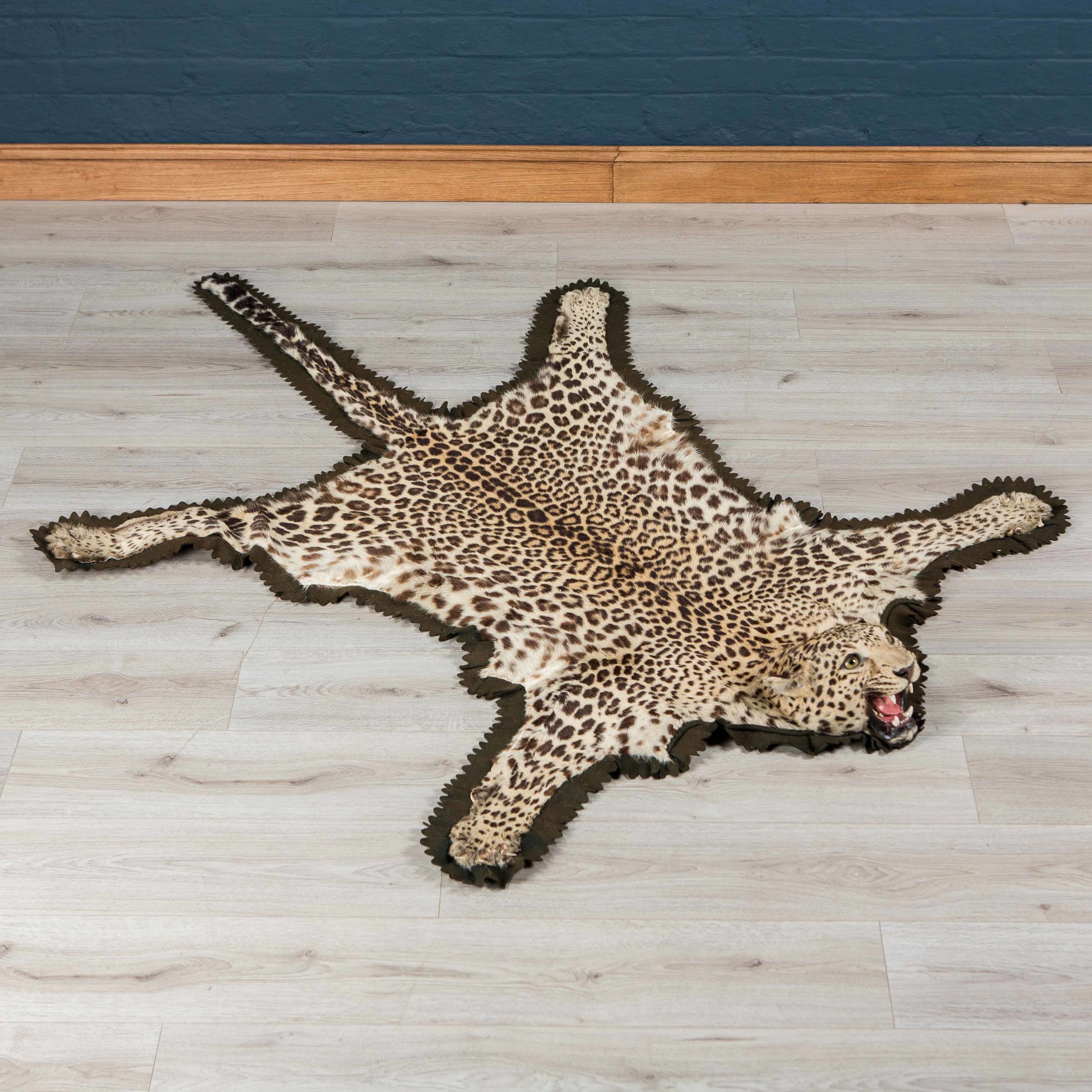 LEOPARD_01-1.jpg
