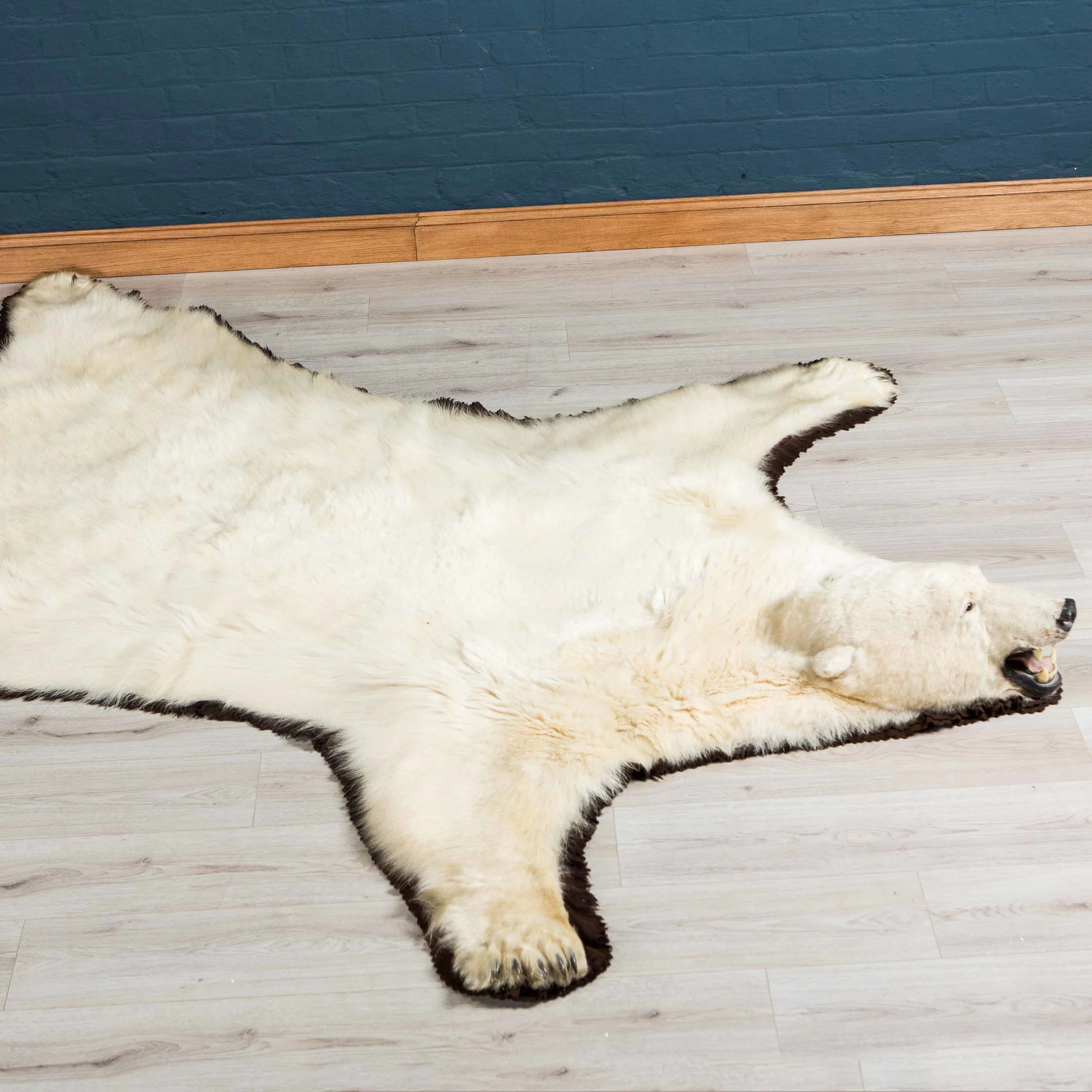 POLAR02.jpg