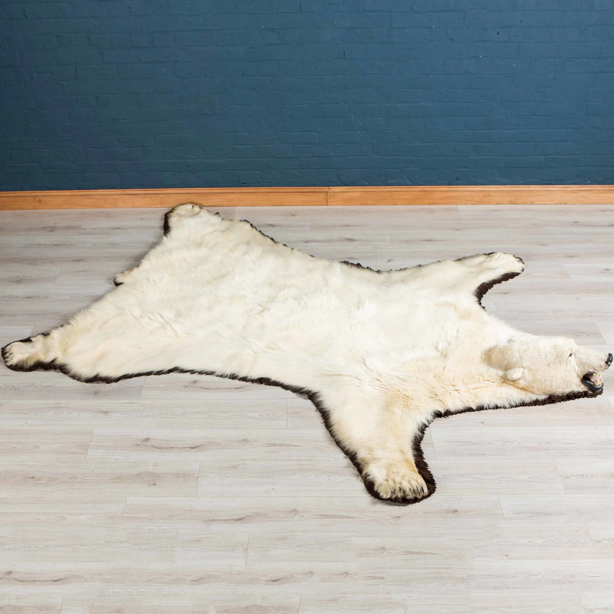 Polar bear skin rug, circa 1965