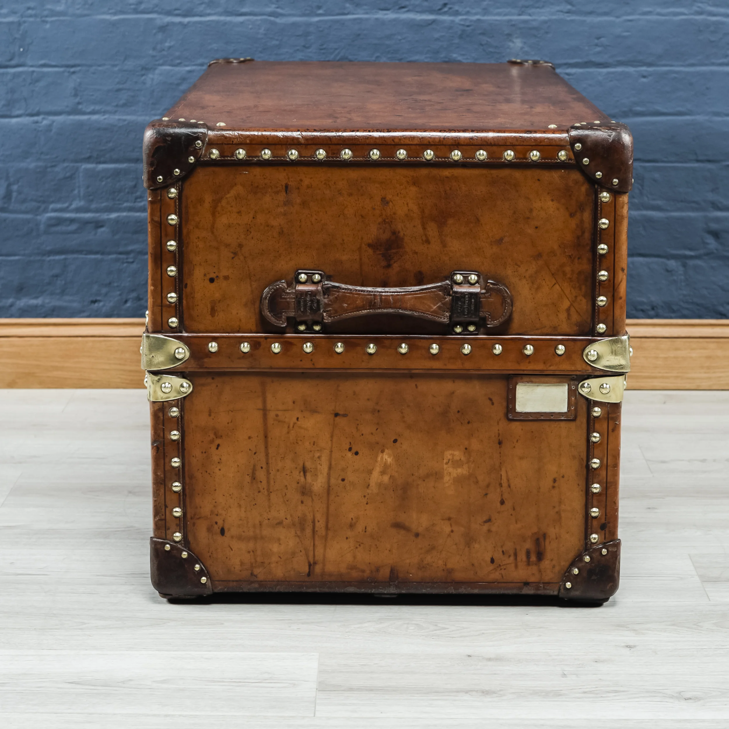 Trunk Two-4.jpg