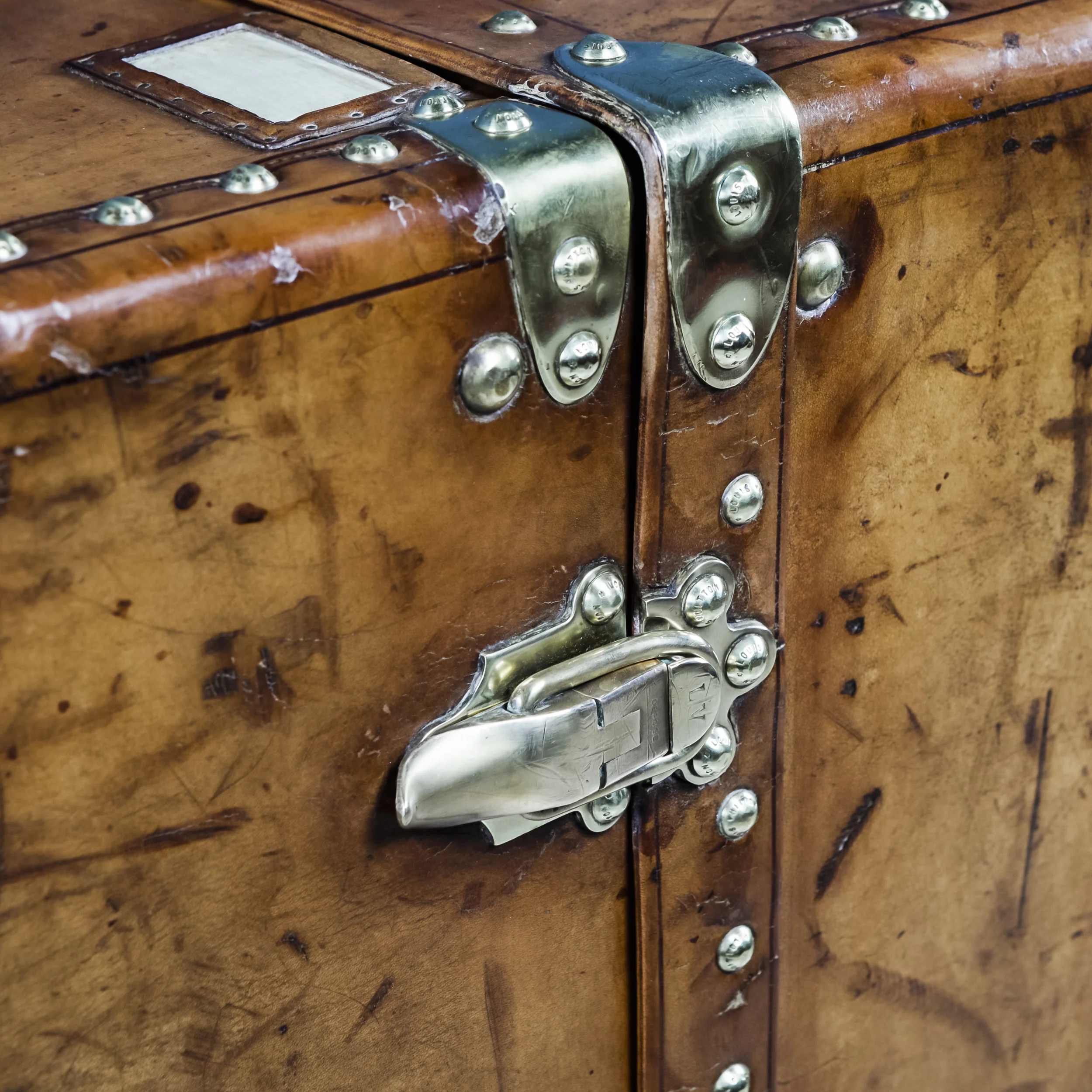 Trunk Two-9.jpg