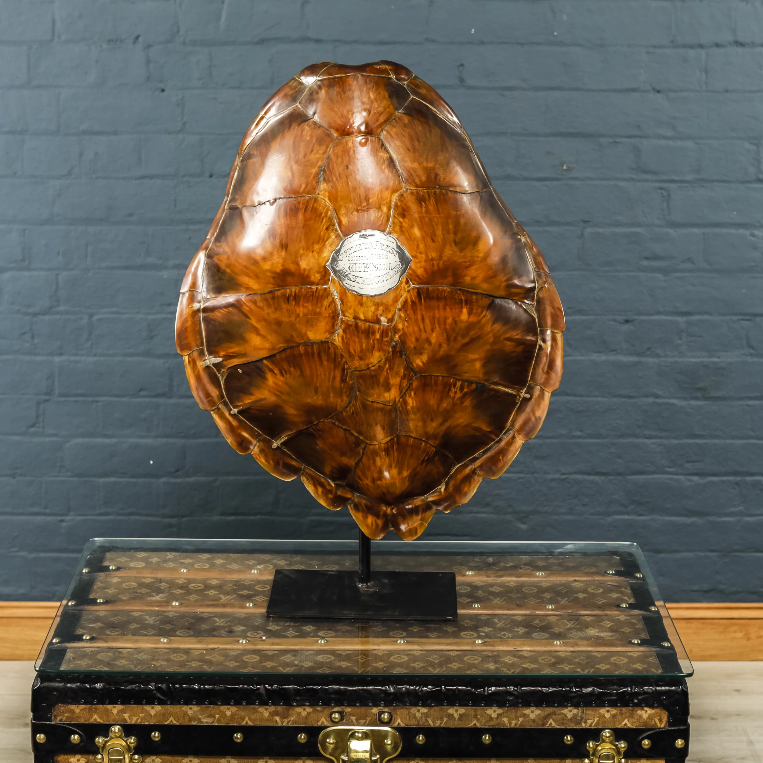 Turtle Shell Three-8.jpg