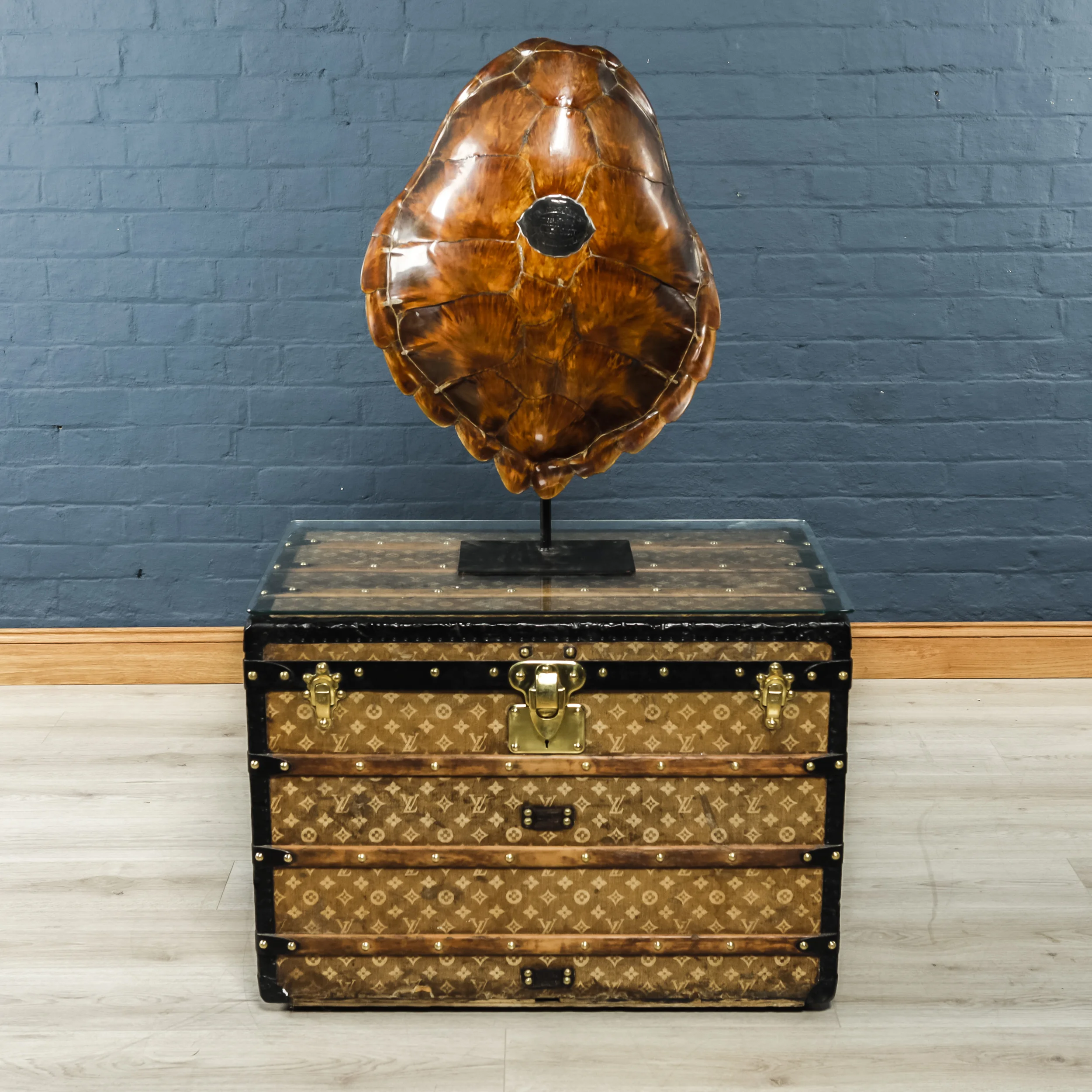 Turtle Shell Three-4.jpg