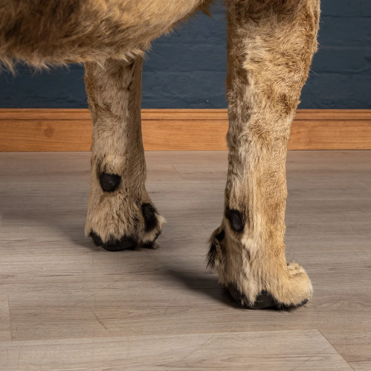 2019-07_alessio_taxidermy-96.jpg