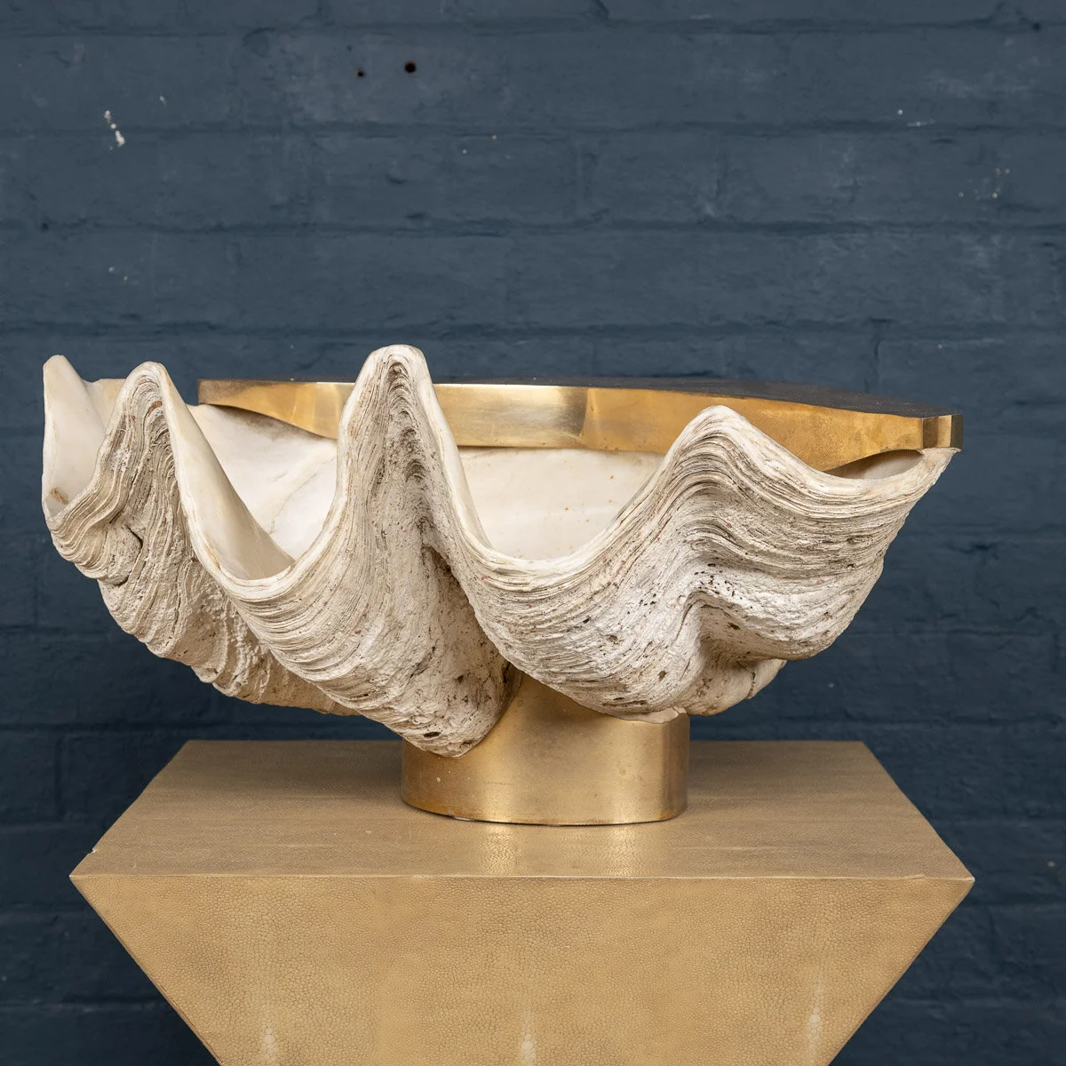 A giant clam shell on a brass mount, mid to late 20th century