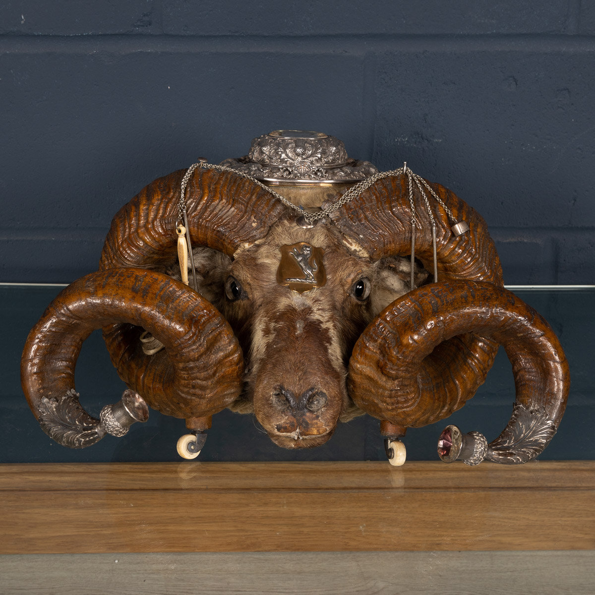 A ram's head table snuff mull, Scotland, circa 1872
