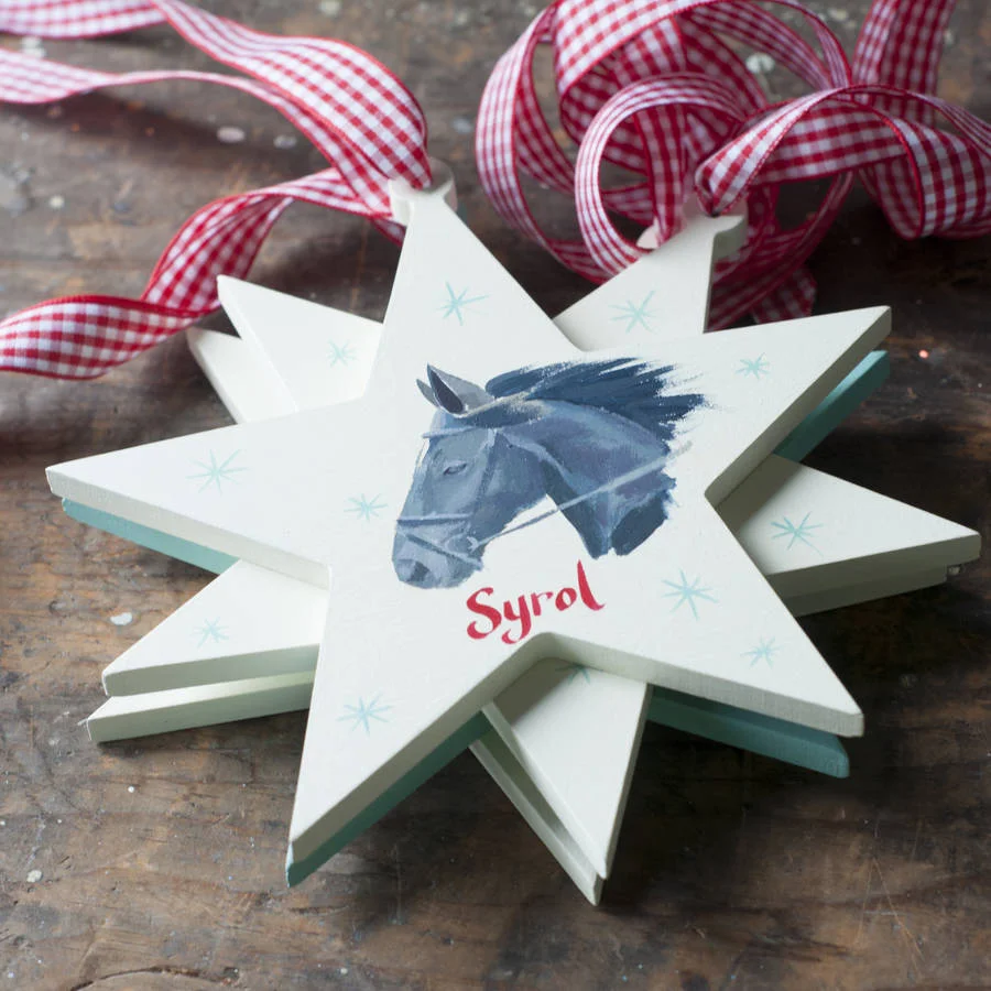 original_a-personalised-horse-or-pet-portrait-star.jpg