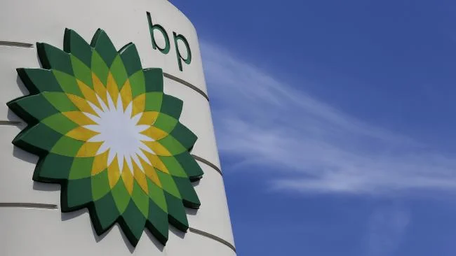 13-NEW BP.jpg