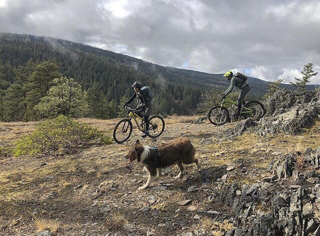 jude mt biking with dog and husband.jpg