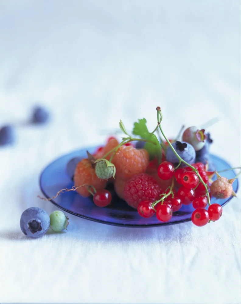 BarbaraFritz-Stylist-berries.jpg
