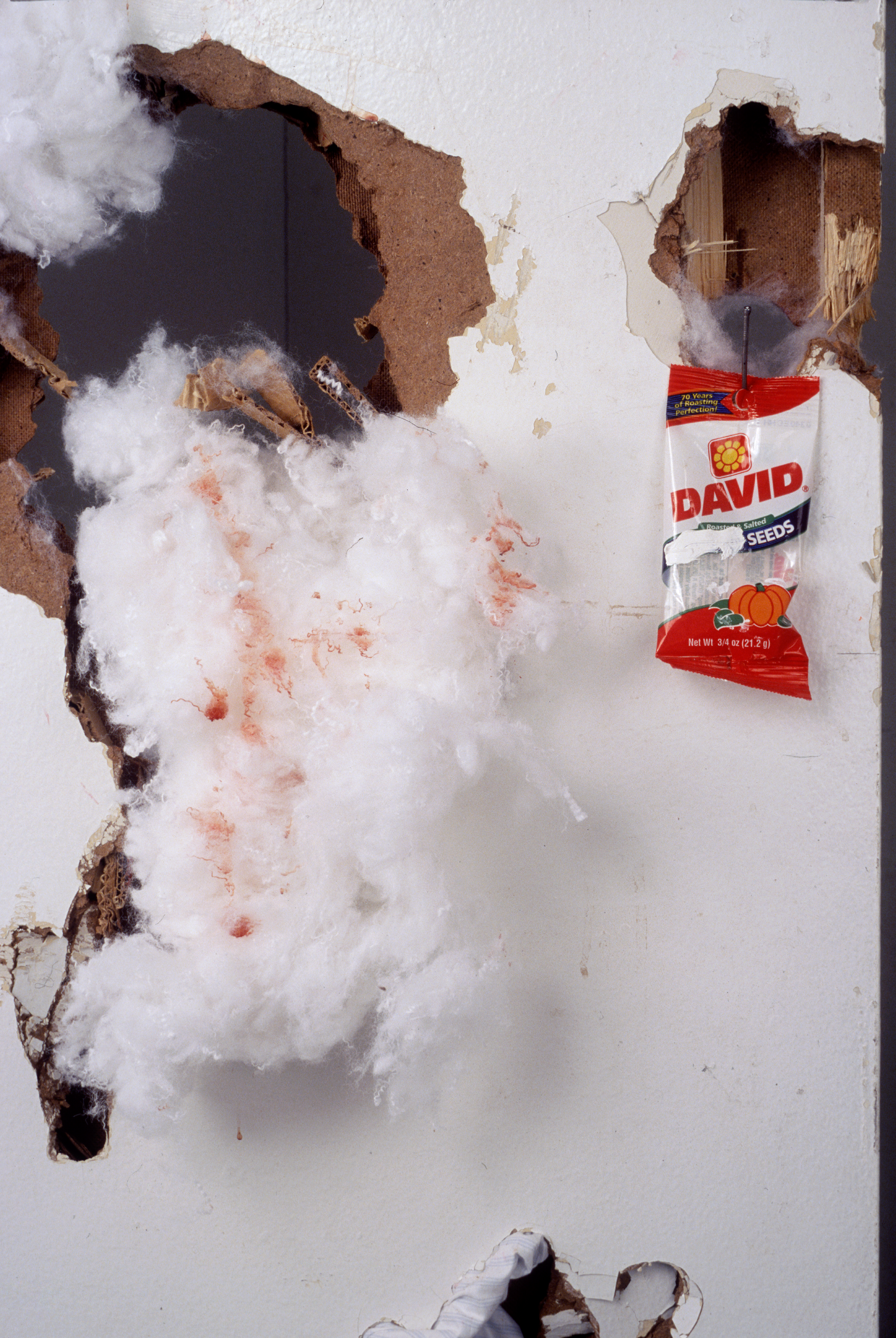 "David's Seeds" detail Chicken blood on cotton, chicken blood on found doors, cotton on found doors, gesso on David Sunflower Seeds bag; wood studs and hardware Dimensions variable 2001