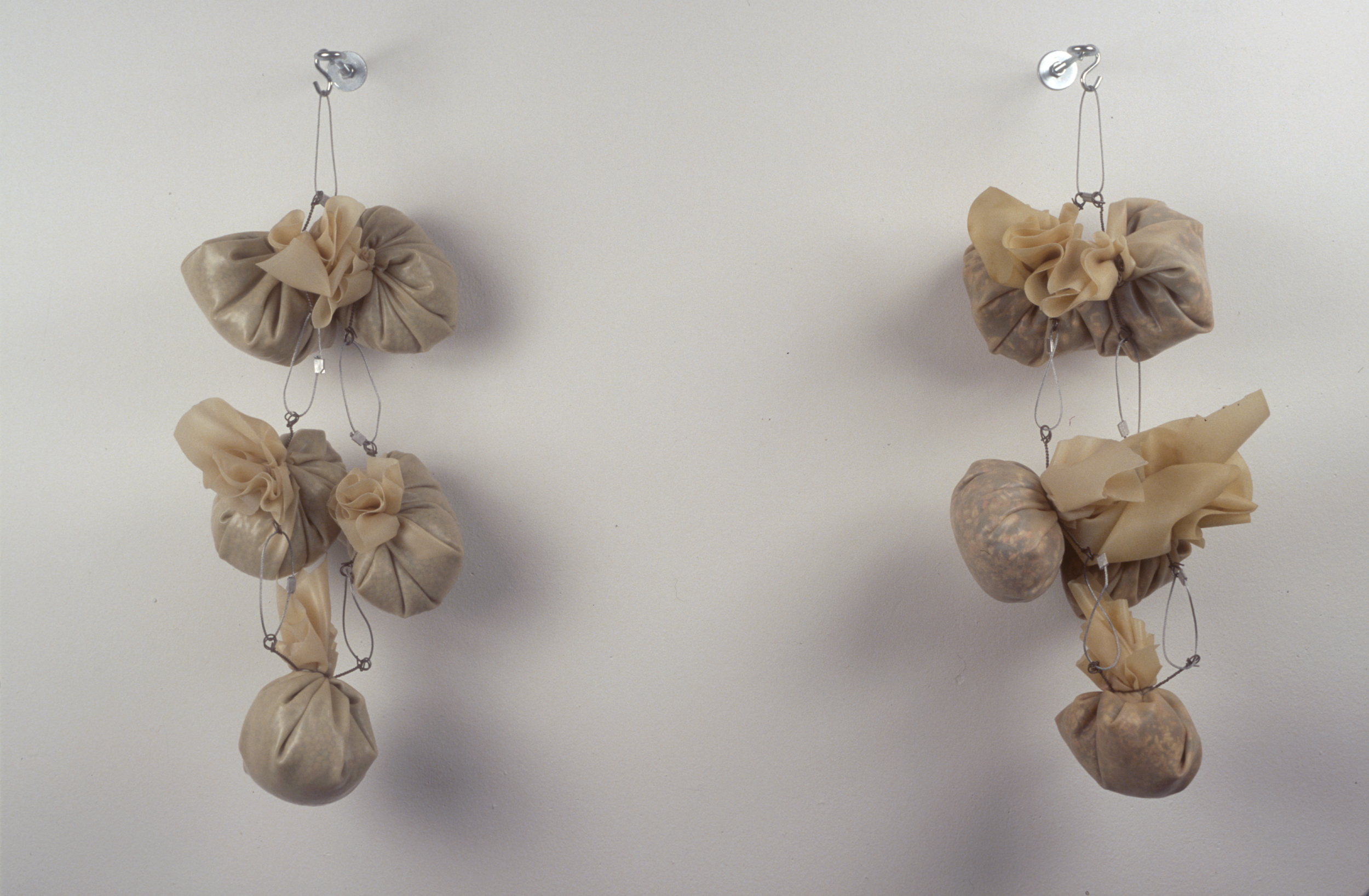 "Todavía No (after Eva Hesse)" Lentils, latex and hardware Dimensions variable 2002
