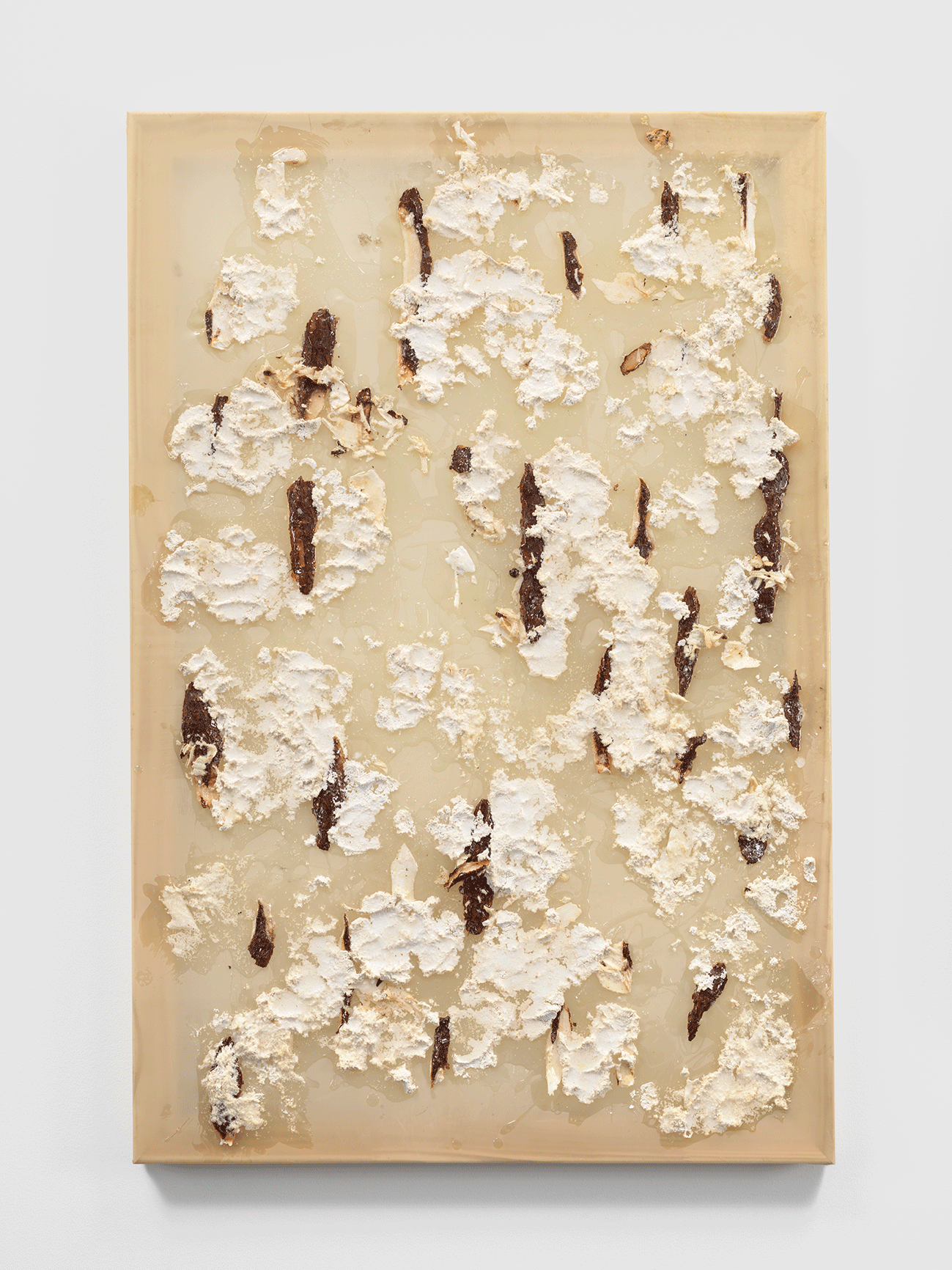 “Mandioca Blossoms” Yucca and epoxy resin on latex over wood 36 x 24 in. 2016