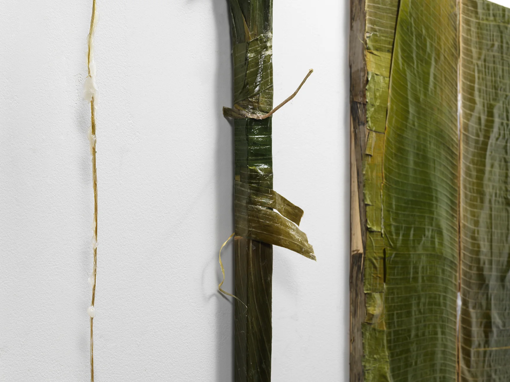 "Colgão Diptych" (detail) petrolatum (Vicks VapoRub) on plantain leaves lined with resin, 36 x 24 in. each 2017
