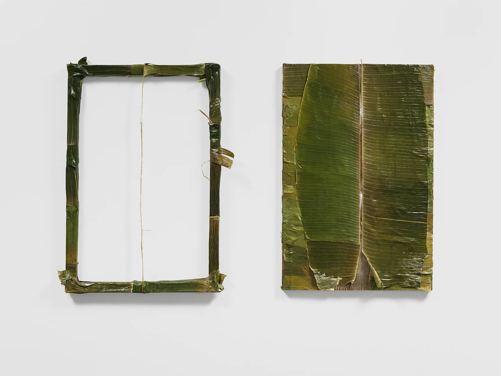"Colgão Diptych" petrolatum (Vicks VapoRub) on plantain leaves lined with resin, 36 x 24 in. each 2017