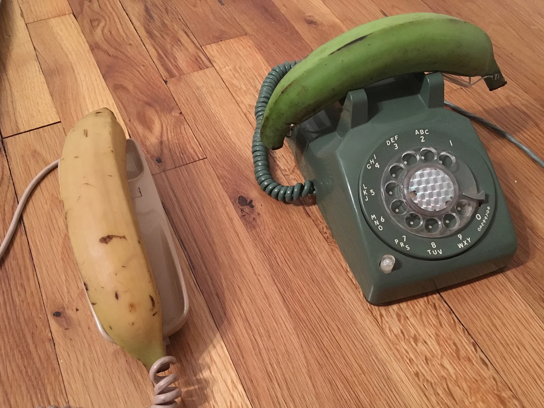 "Platanofono" vintage phones and plantains with resin lining dimensions variable 2017