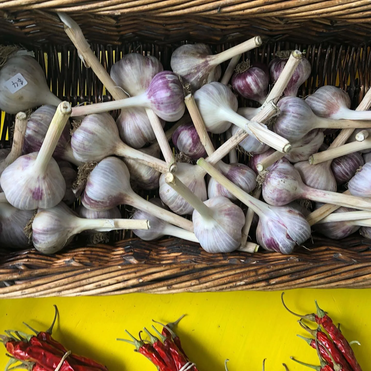 anneth garlic.jpg