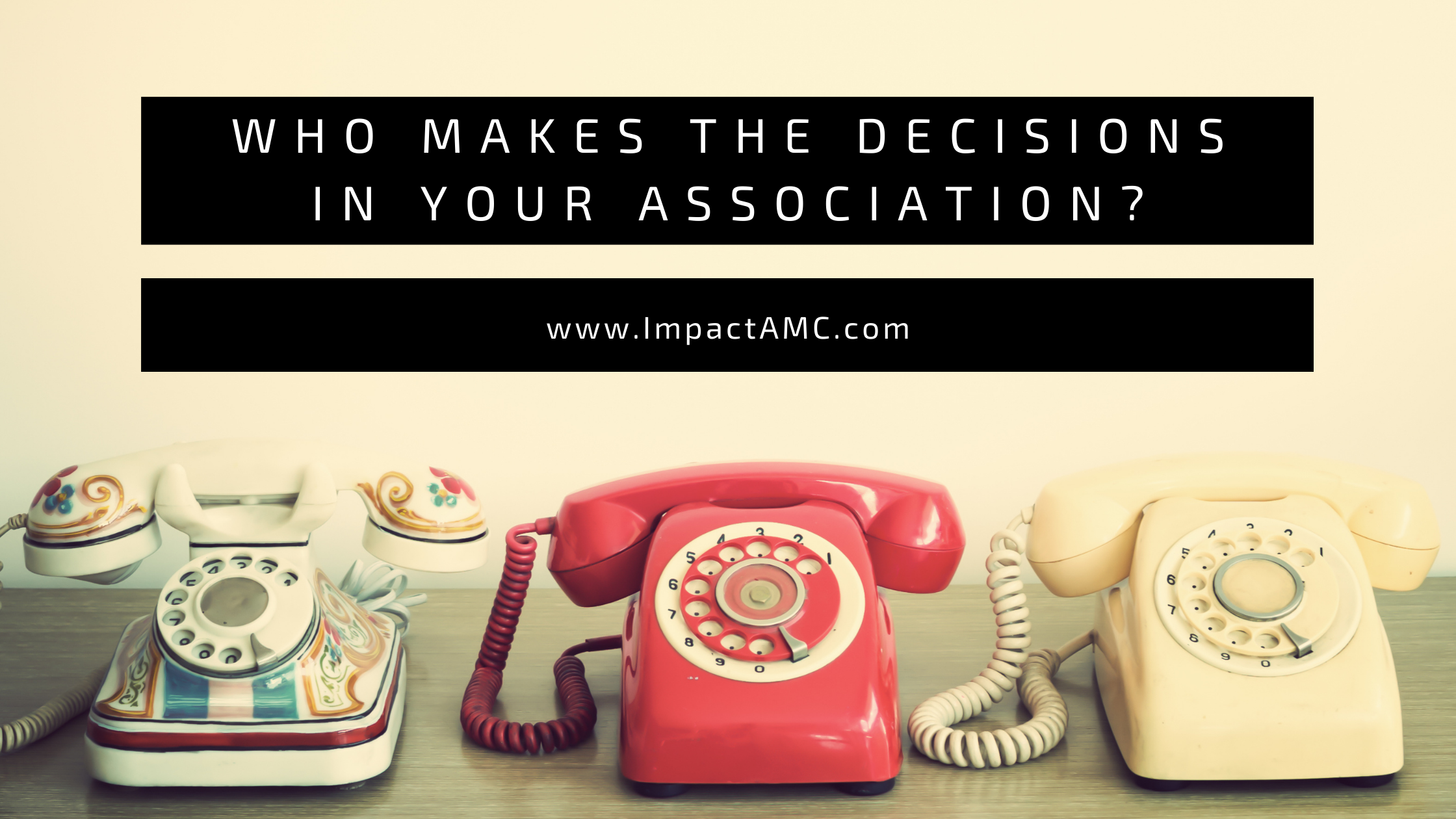 Who Makes the Decisions in your Association?