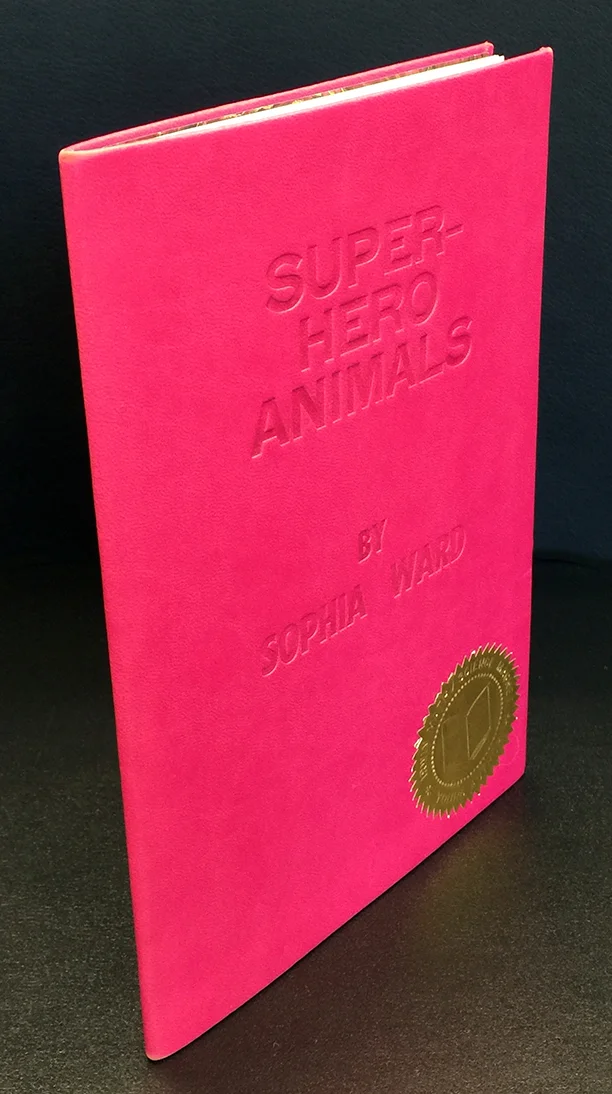 Superhero spine.jpg